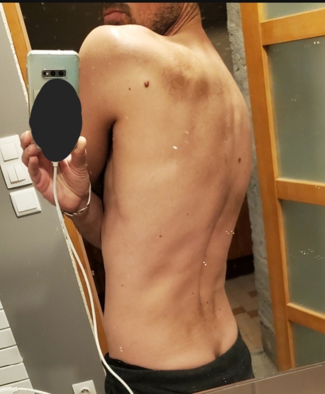 Profil de Camel
